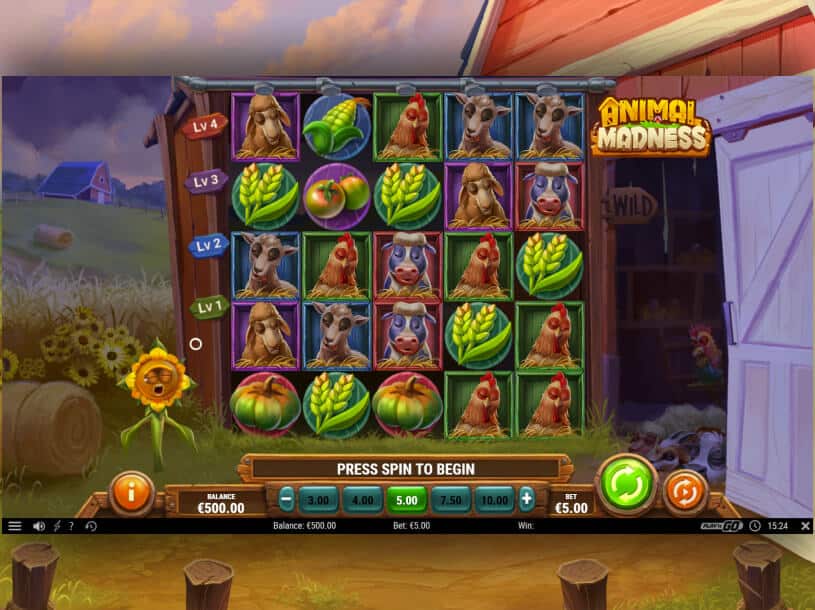 animal madness screenshot