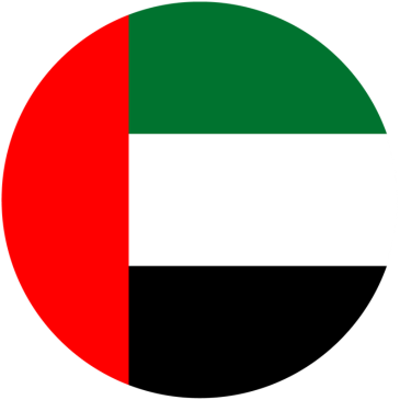 UAE flag